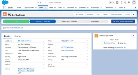 Salesforce REST API 的图像结果