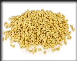 welcome [brightagro.in]