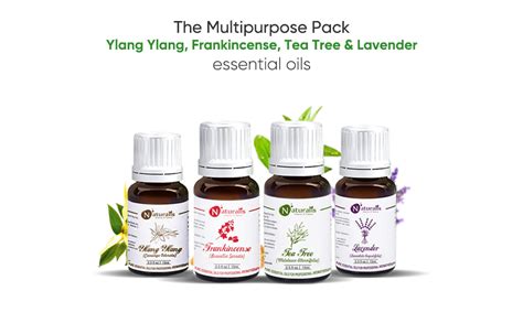 Naturalis 15ml Essential Oil Gift Pack of 4 for Skin Care (Frankincense ...