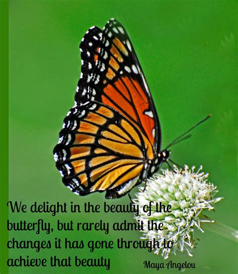 Quotes About Butterflies And Transformation. QuotesGram