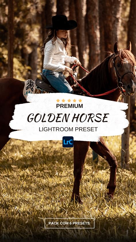 Best 17+ Lightroom Horse Presets Bundle