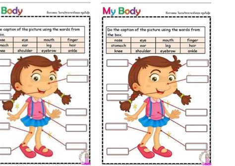 partes del cuerpo ingles.docx