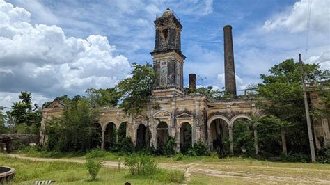 Lawson's Original Yucatan Excursions (Progreso) - All You Need to Know ...