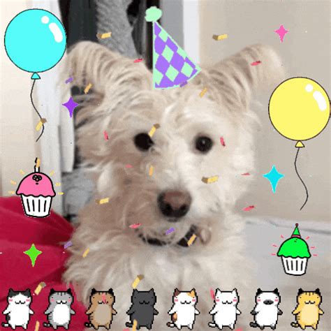 Birthday Dog GIFs - Get the best GIF on GIPHY