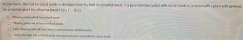 Solved: In pea plants, the trait for round seeds is dominant over the ...