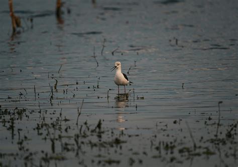 Suicideboys Wallpapers Photos, Download The BEST Free Suicideboys ...