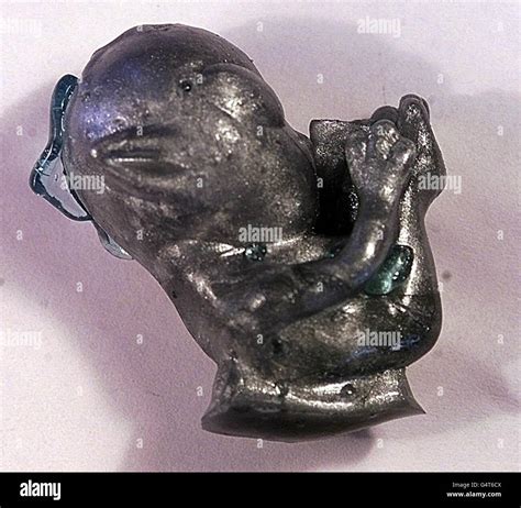 Alien Egg Toy 的图像结果