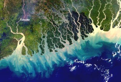 Image result for Delta PCO2