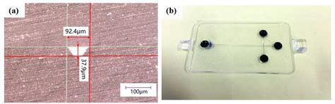 Investigation of Solvent-Assisted In-Mold Bonding of Cyclic Olefin ...