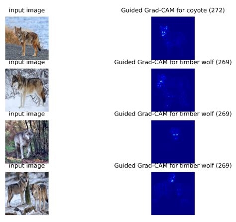 Image result for How Grad CAMWorks