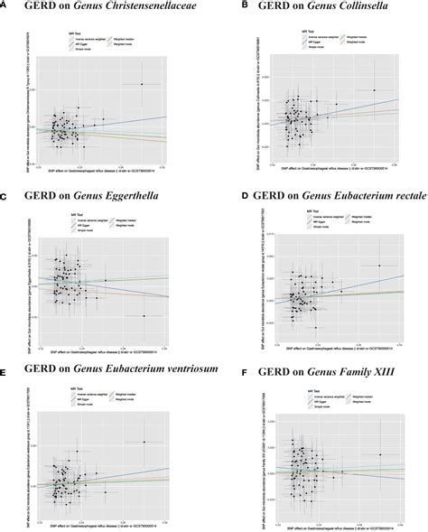 Frontiers | Causal relationship between gut microbiota and risk of ...