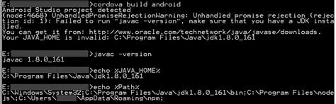 Java Windows 8 1 的图像结果