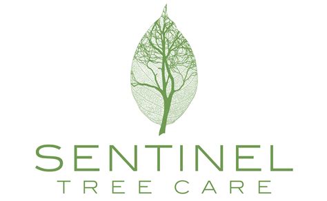 Image result for What Is a Sentinel Tree