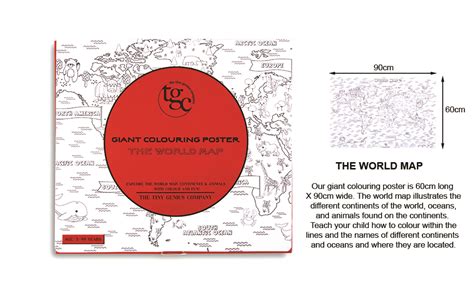 The Tiny Genius Company Color Posters, 60cm X 90cm, A Fun-Filled ...