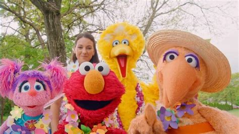 Image result for Sesame Tree CBeebies Episodes