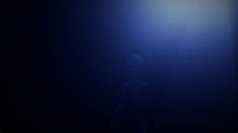 Image result for Alien Abduction Roleplay