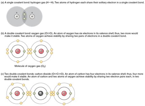 Chemical Bonds · Anatomy and Physiology