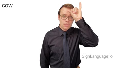 cow in ASL - Example # 3 - American Sign Language