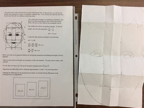 Fibonacci Sequence In Human Face