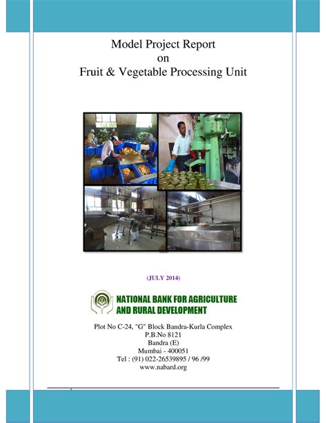 Medium Fruit and Vegetable Processing Unit - Model Project Report Model ...