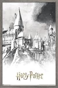 Trends International The Wizarding World: Harry Potter - Illustrated ...