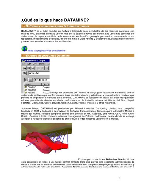 Image result for Datamine Studio Op Tutorial PDF