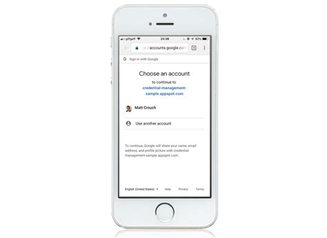 JavaScript API Managment Program 的图像结果