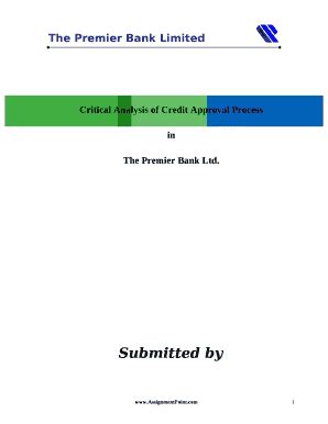 Critical Analysis of Credit Approval Process Doc Template | pdfFiller