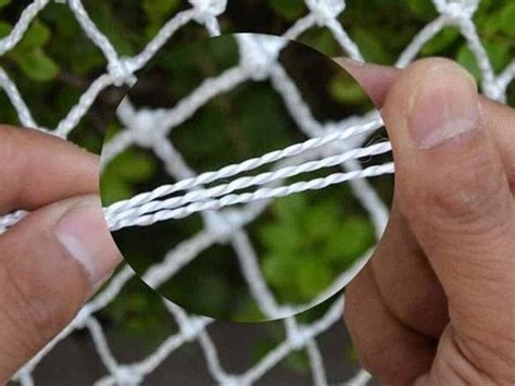 Thread Netting 的图像结果