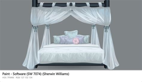 Image result for SW Software