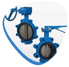 Butterfly valve | SS Triple offset butterfly valve