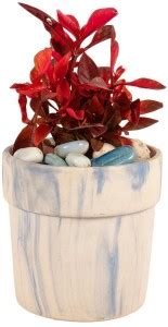 Lasaki Lyla Ceramic Pots for Indoor Plants, Planters,Flower pots,gamla ...