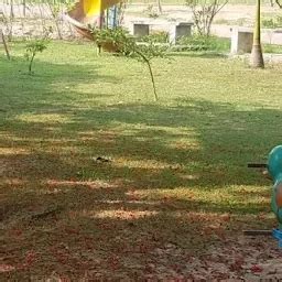 Best Top Rated Park in Adichanalloor, Kerala, India | Yappe.in