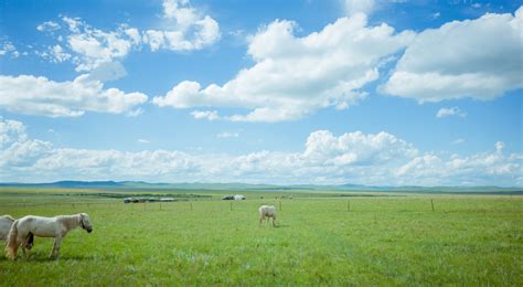 内蒙草原旅游哪里好，内蒙古哪里的草原美丽又好玩 - 马蜂窝