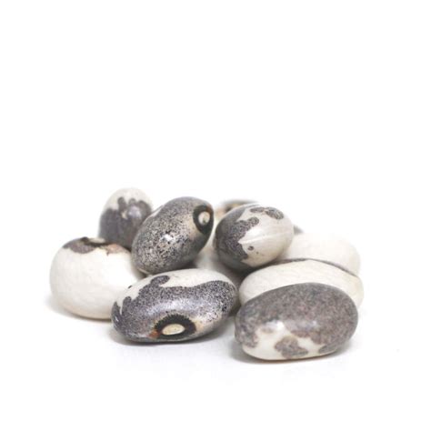 Dapple Gray Certified Organic Heirloom Dry Beans – Shady Side Farm