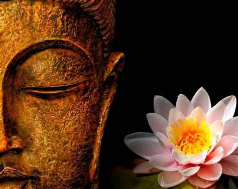 佛教如何解释梦境（梦的意义与佛教解释） - 解梦大全