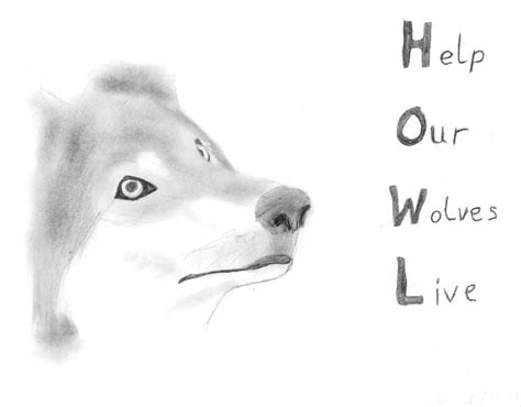 Image result for Easy Drawings of Wolves