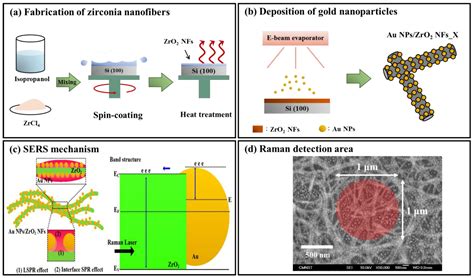 Gold Nanoparticle-Coated ZrO2-Nanofiber Surface as a SERS-Active ...