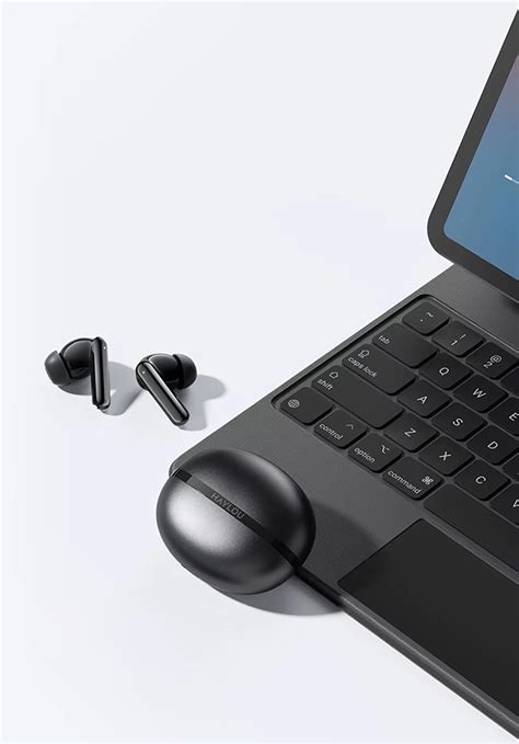 https://haylou.info/es/images/haylou-flowbuds-n50-10-01.webp