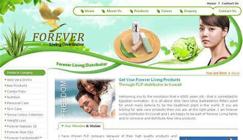 Web Design Portfolio | Online Web Design Portfolio | Graphic Design ...