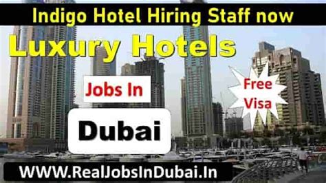 Indigo Hotel Jobs In Dubai UAE 2024