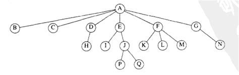 Data Structure Tree Leaf to Root 的图像结果