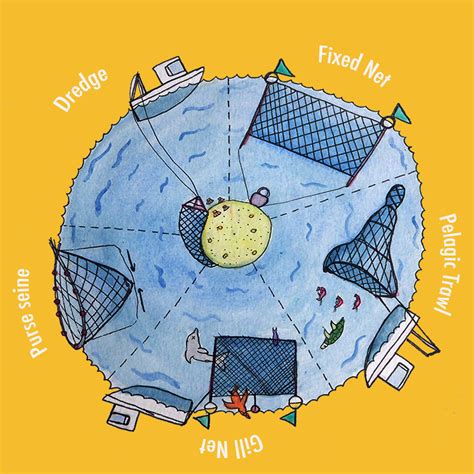 Image result for Catch Fish Methods