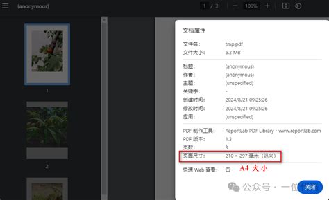 Convert Python to PDF 的图像结果