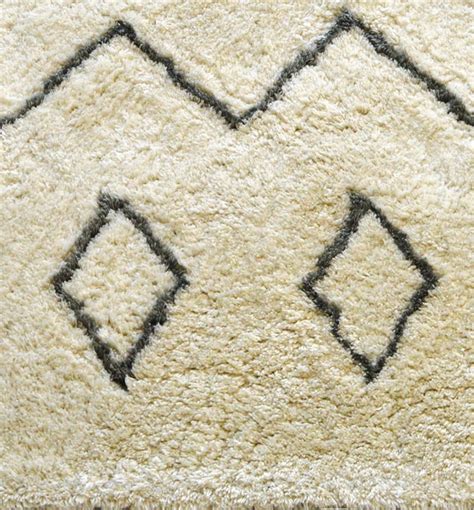 Rug/carpet care and maintenance