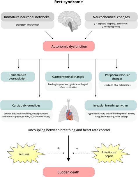 Frontiers | Cardiac autonomic control in Rett syndrome: Insights from heart rate variability ...
