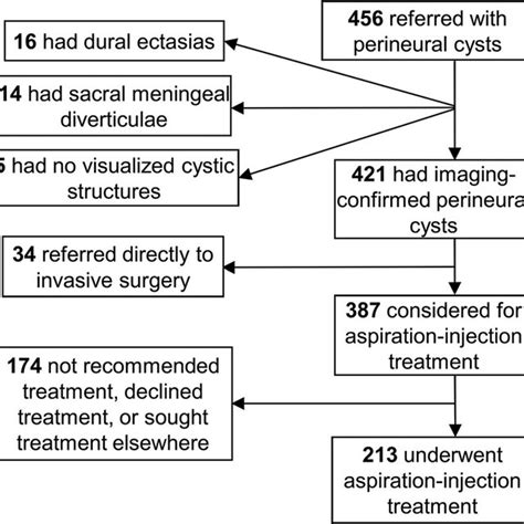 Image result for Myelogram Injection