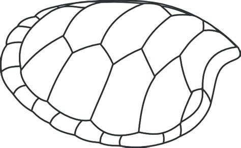 Image result for Empty Turtle Shell Drawung