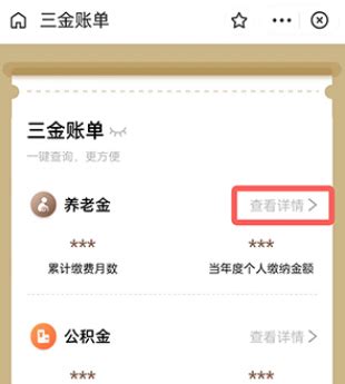 个人帐户养老金怎么查 - 财梯网
