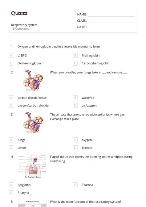 50+ the reproductive system worksheets for 10th Class on Quizizz | Free ...